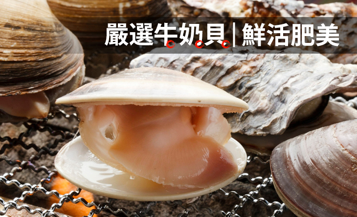 【台北濱江】鮮活嚴選牛奶貝1kg/份（約12個）肥美鮮嫩、口感滑順~饕客最愛!