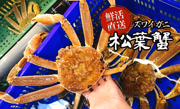 【台北濱江】鮮活直送松葉蟹1kg±10%/隻~日本三大名蟹!蟹肉纖細極鮮甜~