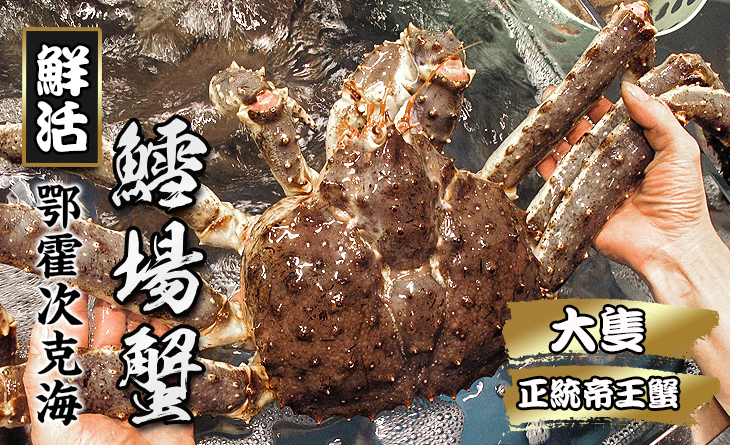 【台北濱江】鮮活鱈場蟹2.5kg±5%/隻。日本經典名蟹必吃