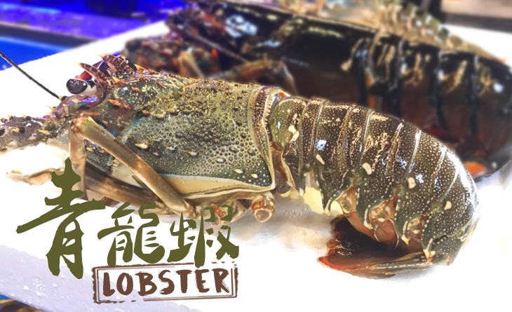 【台北濱江】鮮活青龍蝦300g±5%/隻~無與倫比的最鮮海味!