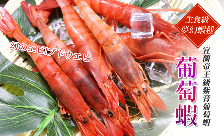 【台北濱江】珍貴稀少，蝦膏呈葡萄紫，生食級夢幻蝦種~宜蘭葡萄蝦1kg/箱（約26~30隻）