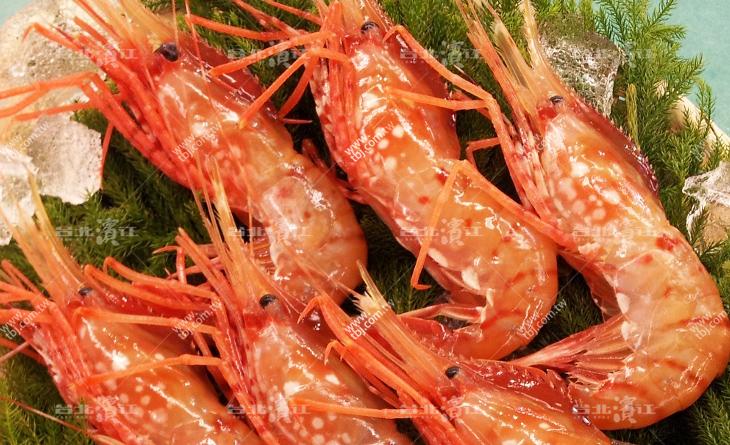 【台北濱江】超新鮮頂級刺身專用！肉質甘甜綿密細緻~空運生食級L牡丹蝦26~33P