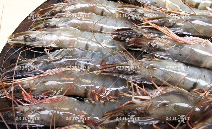 【台北濱江】火烤兩吃的涮嘴滋味！Q彈飽滿～生凍鮮甜草蝦280g/盒，12隻