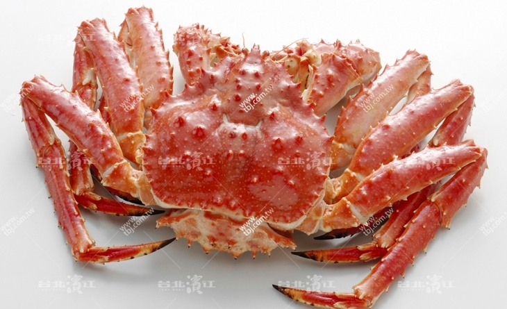 【台北濱江】海鮮極品VIP~回購率100%！家庭號超大帝王蟹1.6-1.8KG/隻