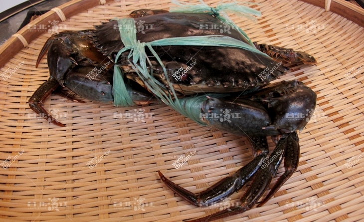 超人氣鮮活大沙母500-600g/隻x2隻~清蒸吃原味超讚！濃濃蟹黃大口吃